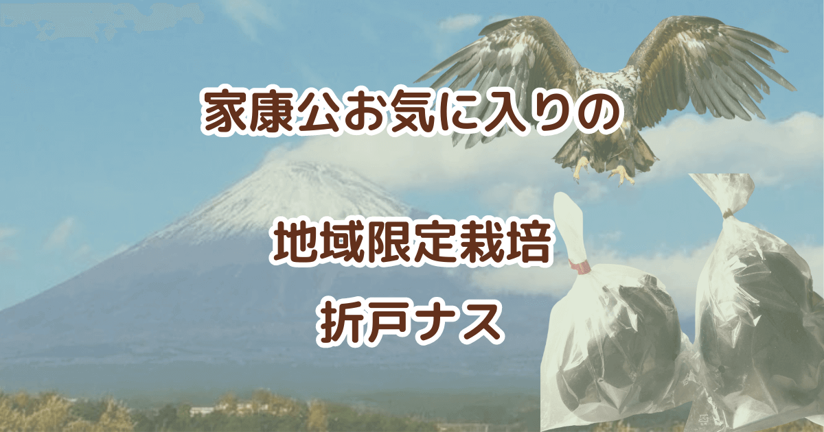 家康お気に入りの折戸ナスをご存じですか？【日常生活】